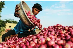 సామాన్యులకు షాక్.. 50 శాతం పెరిగిన ఉల్లి ధర.. 